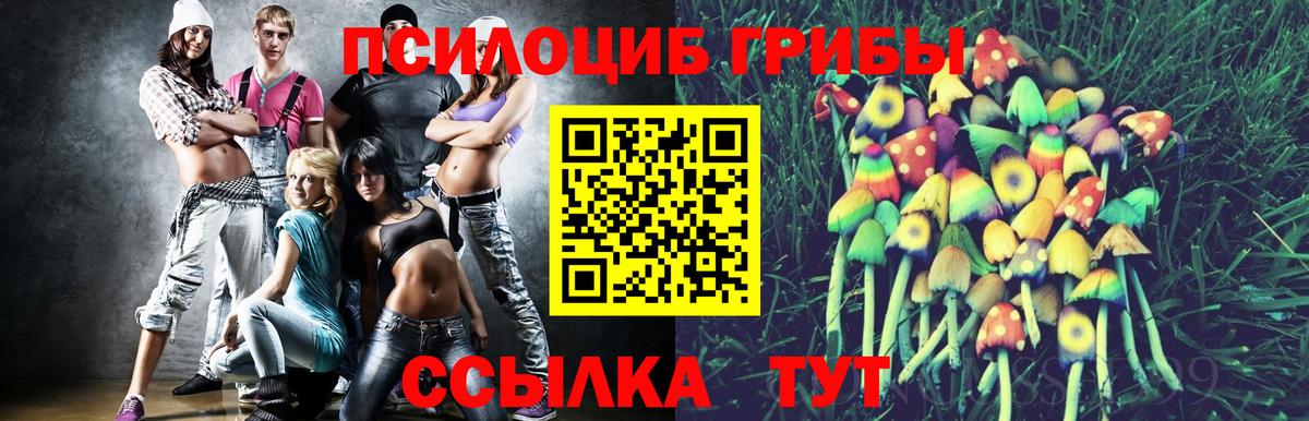 Славгород  Псилоцибиновые грибы ЛСД  Вход с VPN 