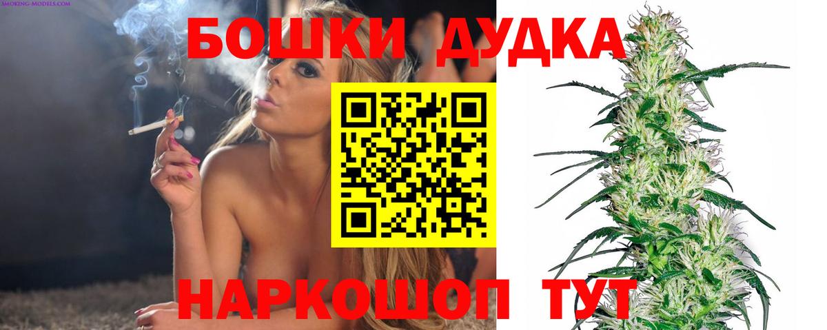 Шишки марихуана конопля Славгород